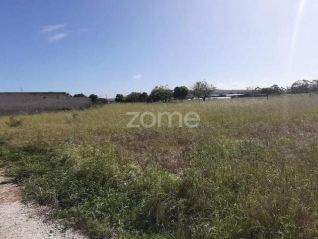 Terreno venda em Montemor-o-Velho e Gatões, Montemor-o-velho