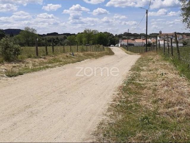 Terreno venda em Montemor-o-Velho e Gatões, Montemor-o-velho