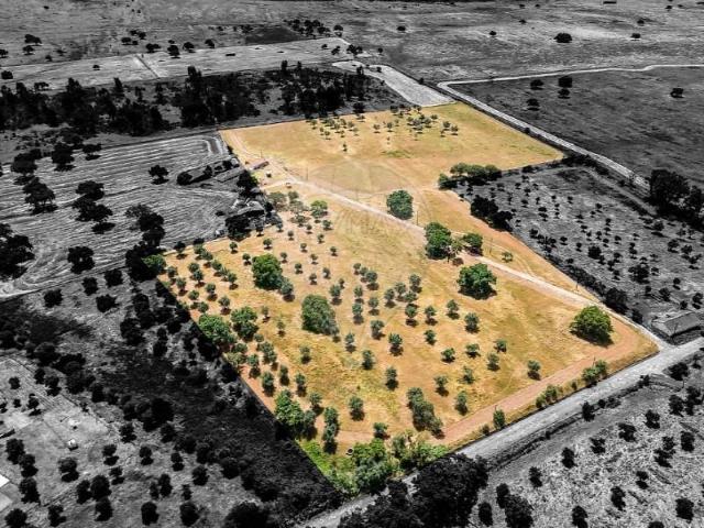 Terreno venda em Silveiras, Montemor-o-novo