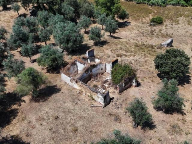 Terreno venda em Montemor-o-novo, Évora