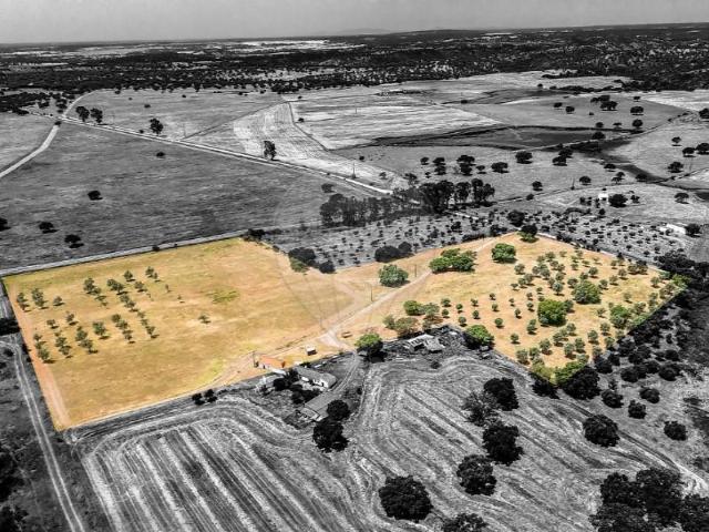 Terreno venda em Silveiras, Montemor-o-novo