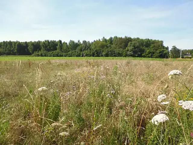 Terrain vente à Montargis, Montereau