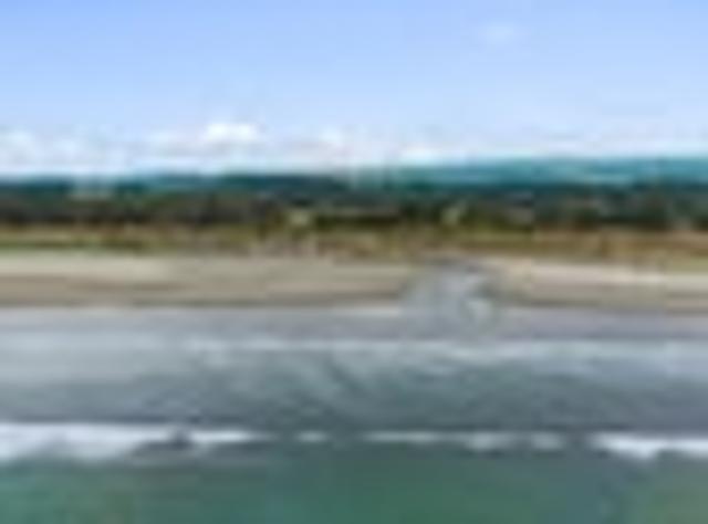 Land for sale in Horowhenua District