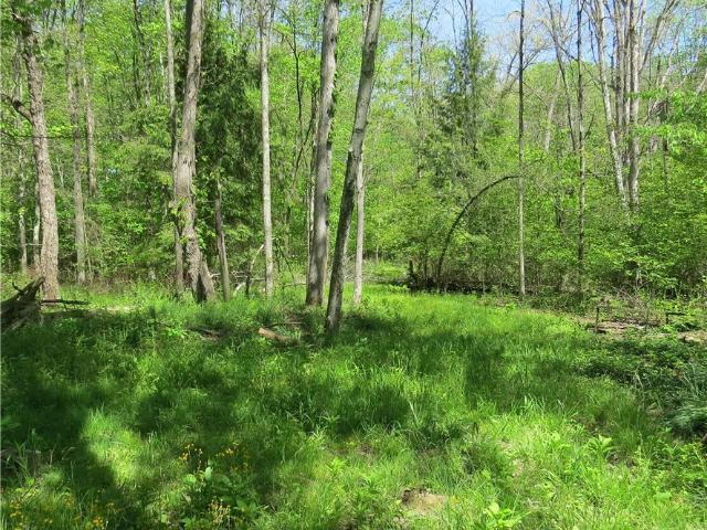 Land for sale in Carrollton, Ohio