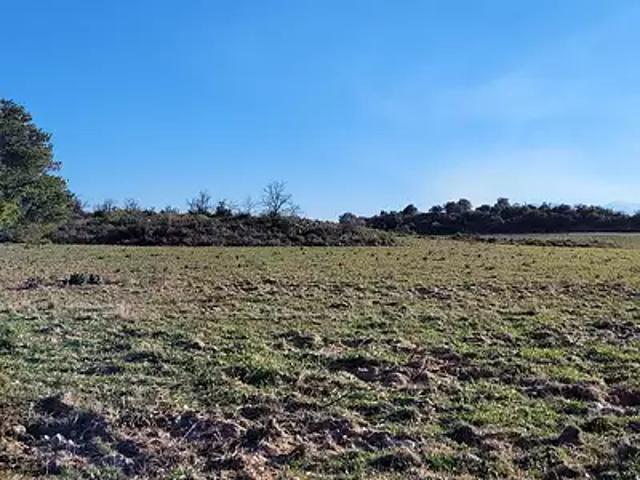 Terrain vente à Céret, Montesquieu-des-albères
