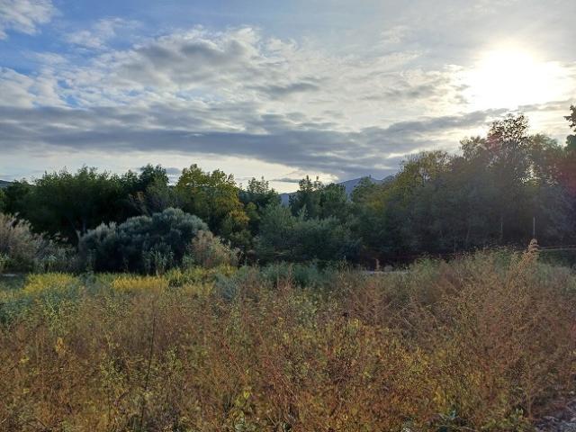Terrain vente à Céret, Montesquieu-des-albères