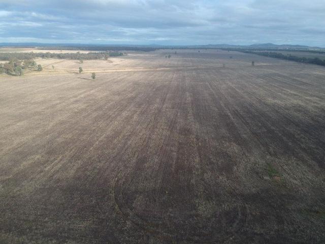 Acreage for sale in Tallimba, New South Wales