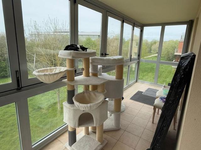 Appartement location à Torcy, Montévrain