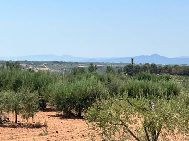 Terreno en venta en Alt Camp, Catalunya