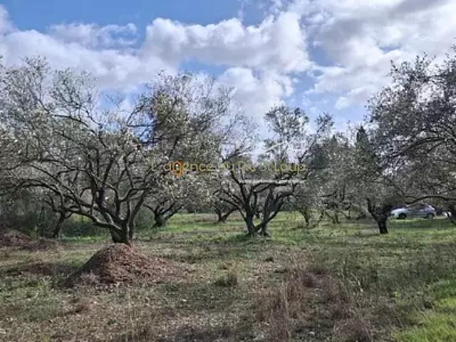 Terrain vente à Montpellier, Montferrier-sur-lez
