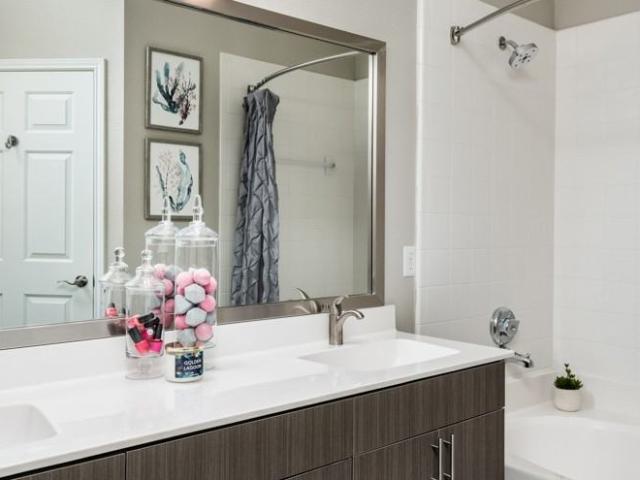 Apartment for rent in Parkdale, Charlotte