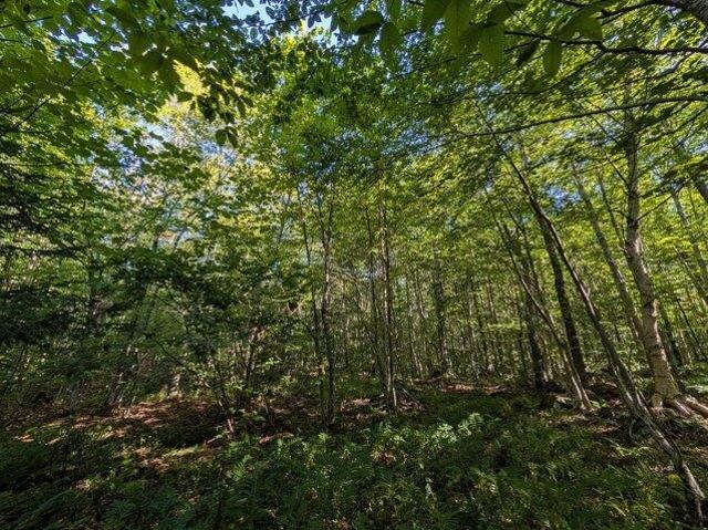 Land for sale in Montgomery, Vermont