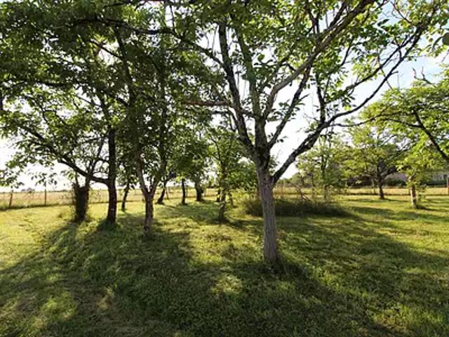Terrain vente à Blois, Monthou-sur-bièvre