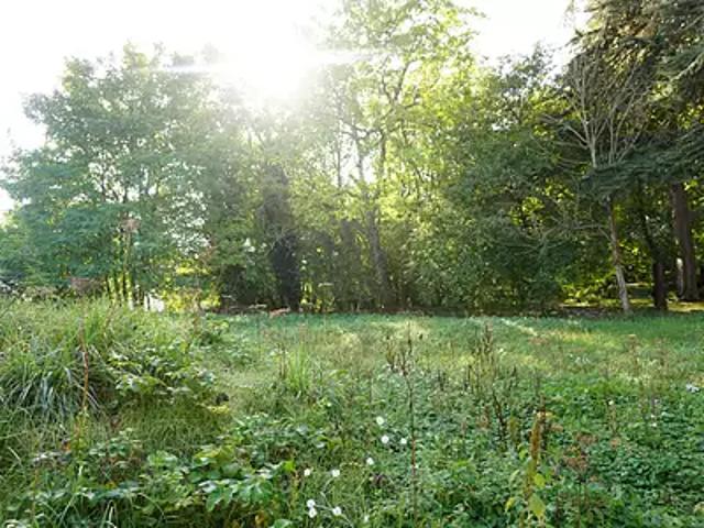 Terrain vente à Romorantin-Lanthenay, Monthou-sur-cher