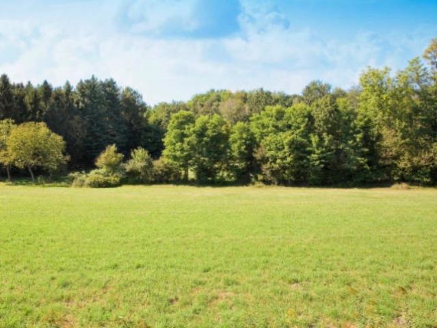 Terrain vente à Monthyon