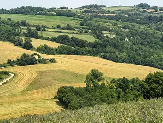 Terrain vente à Sarlat-la-Canéda, Montignac
