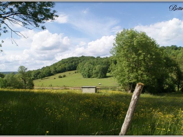 Maison vente à Montbard, Montigny-montfort