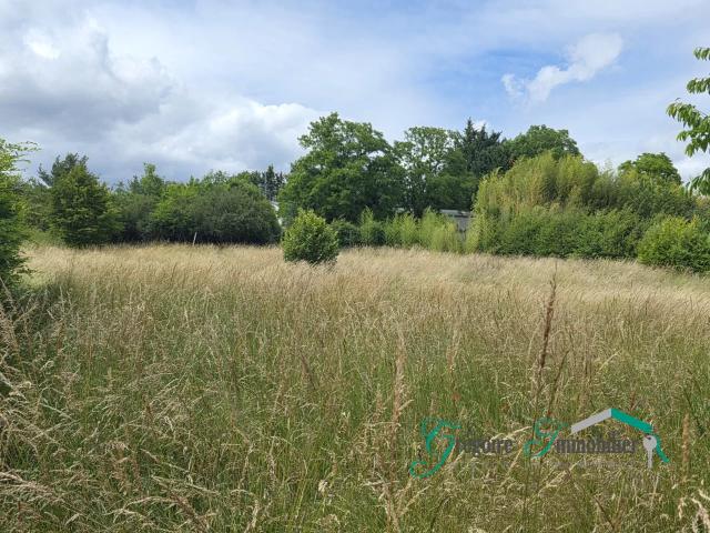 Terrain vente à Fontainebleau, Montigny-sur-loing