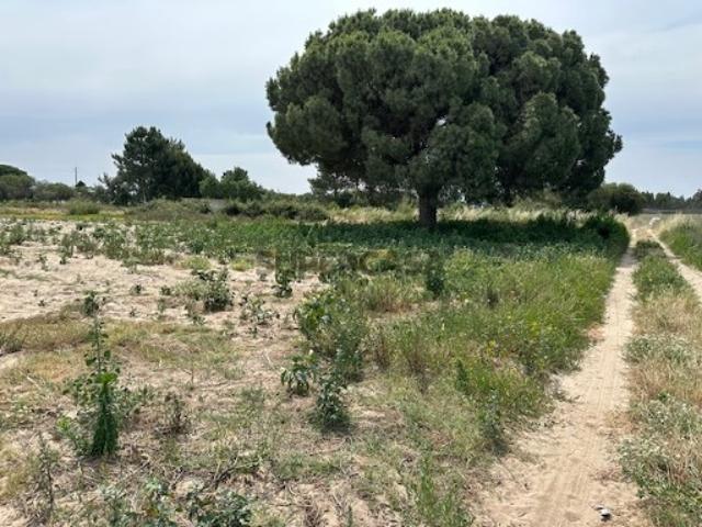 Terreno venda em Montijo, Setúbal