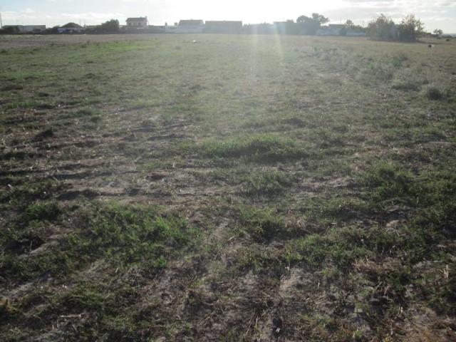Terreno venda em Bela Colónia, Montijo