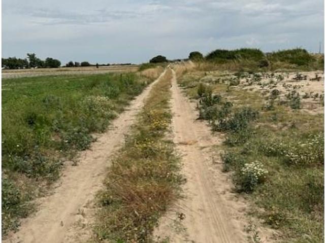 Terreno venda em Montijo, Setúbal