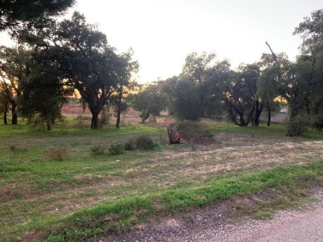 Terreno venda em Montijo, Setúbal