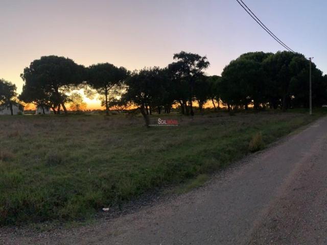 Terreno venda em Montijo, Setúbal