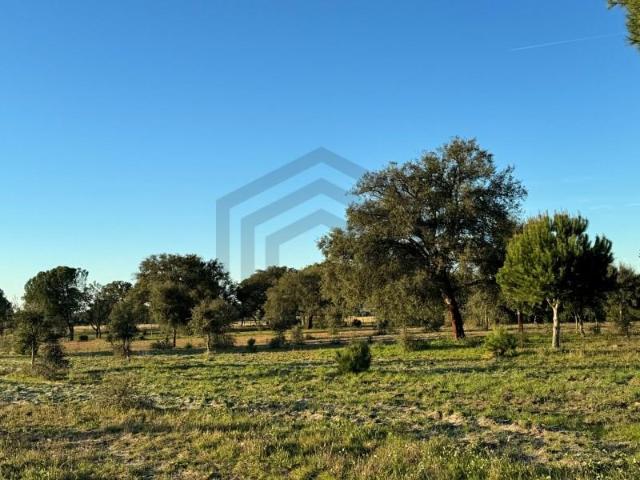 Terreno venda em Montijo, Setúbal