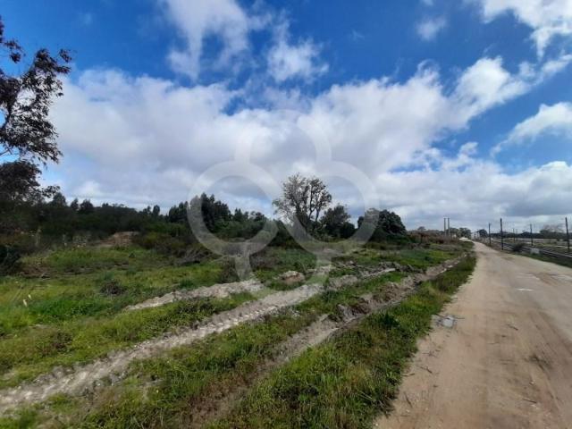 Terreno venda em Pegões-Gare, Montijo
