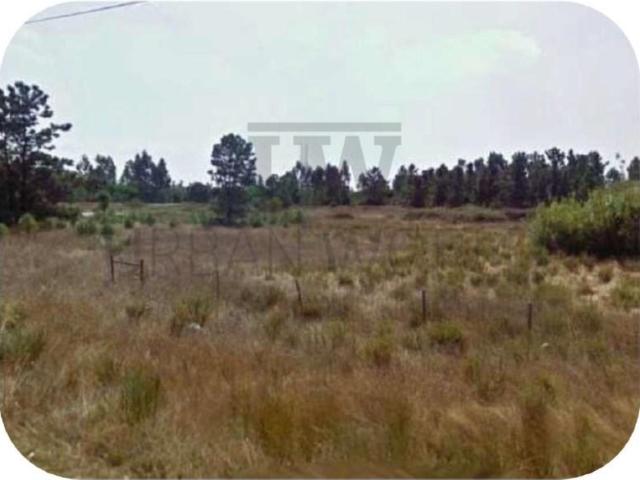 Terreno venda em Colonato de Santo Isidro de Pegões, Montijo