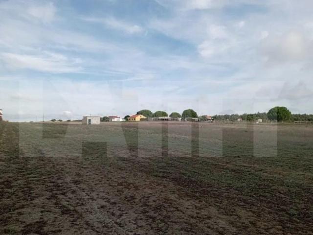 Terreno venda em Montijo, Setúbal