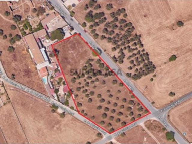 Terreno venda em Montijo, Setúbal