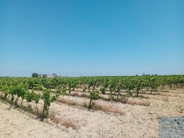 Terreno venda em Montijo, Setúbal