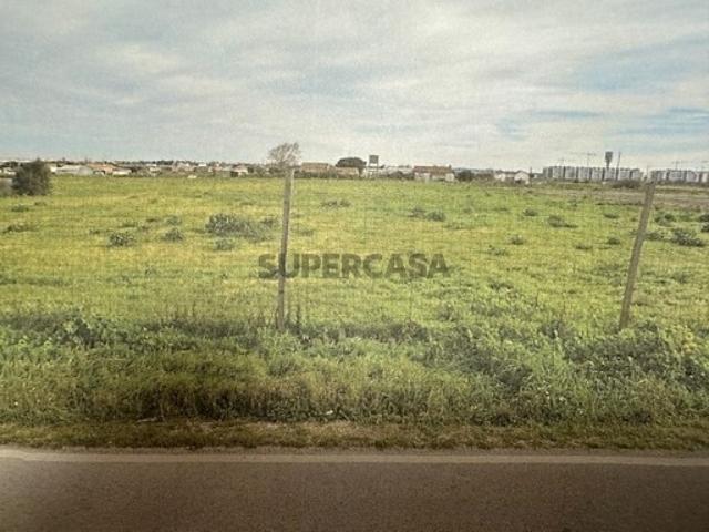 Terreno venda em Baixa do Montijo, Montijo