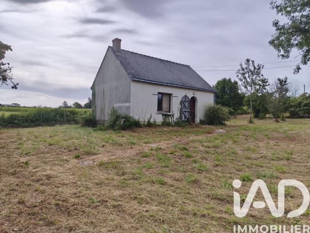 Maison vente à Cholet, Montjean-sur-loire