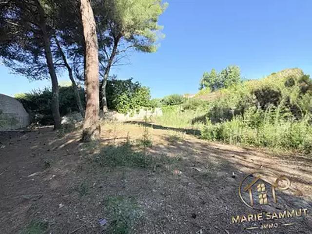 Terrain vente à Montpellier