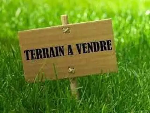 Terrain vente à Montpellier