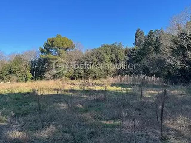 Terrain vente à Montpellier