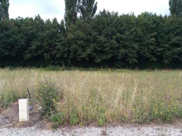 Terrain vente à France métropolitaine, Montpellier-de-médillan