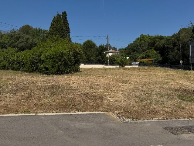 Terrain vente à Montpellier