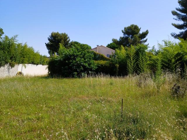 Terrain vente à Montpellier