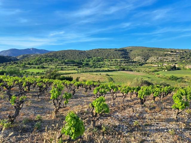 Terrain vente à Lodève, Occitanie