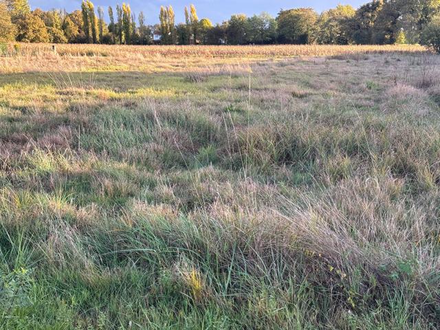 Terrain vente à Périgueux, Montpon-ménestérol