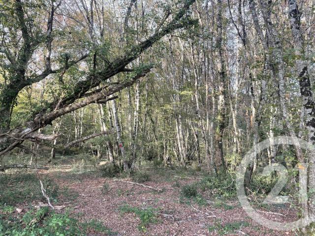 Terrain vente à Périgueux, Montpon-ménestérol