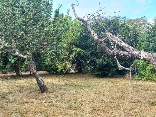 Terrain vente à Périgueux, Montpon-ménestérol