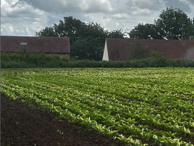 Terrain vente à Cambrai, Montrécourt