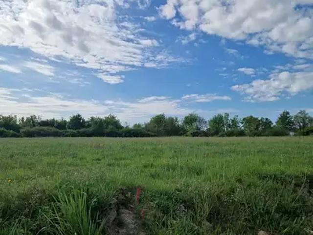 Terrain vente à La Maladrerie, Montrésor