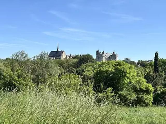 Terrain vente à Saumur, Montreuil-bellay