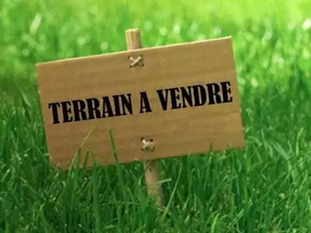 Terrain vente à Saumur, Montreuil-bellay