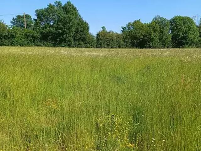Terrain vente à Bernay, Montreuil-l'argillé